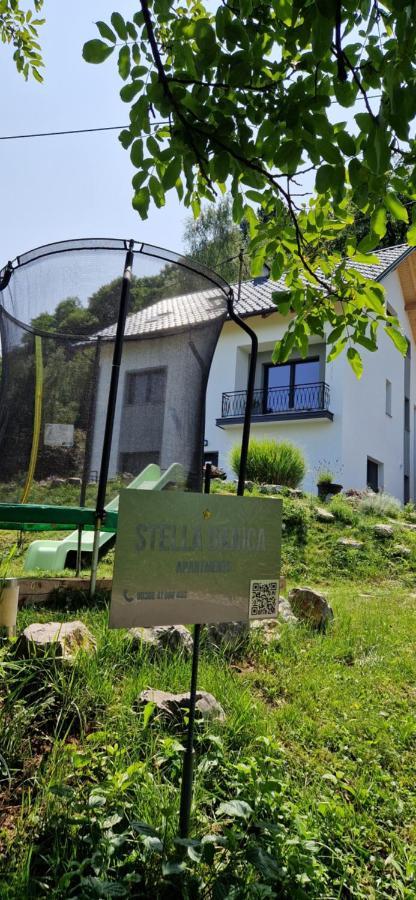 Apartment Stella Danica Catez ob Savi Exteriör bild